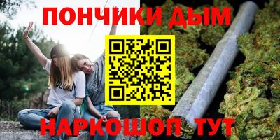 спиды Дубна