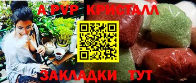 спиды Дубна